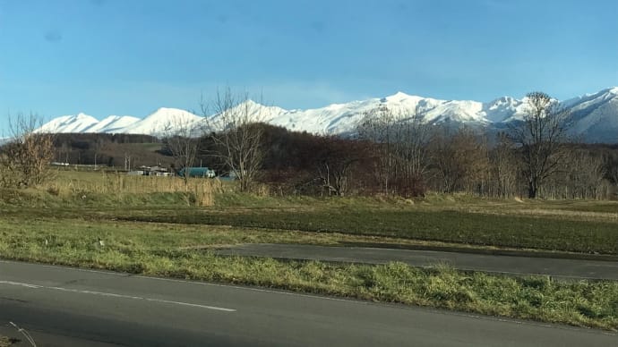 ほんとに寒いのよ🥶