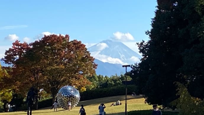 山梨県立美術館　縄文展