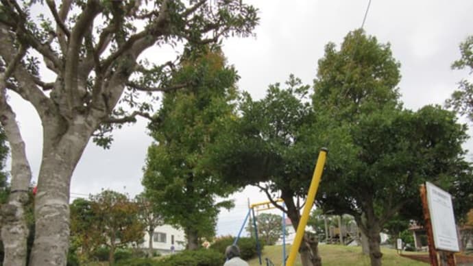 公園へ行こう