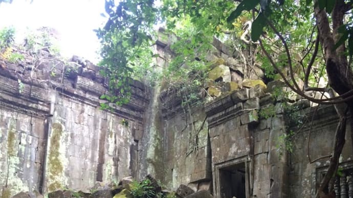 【カンボジア】ラピュタの世界!?ジャングルの奥にたたずむ神秘の遺跡!