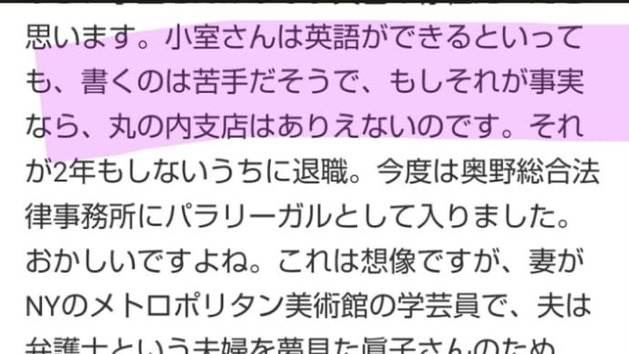 小室圭さんインターナショナル卒なのに