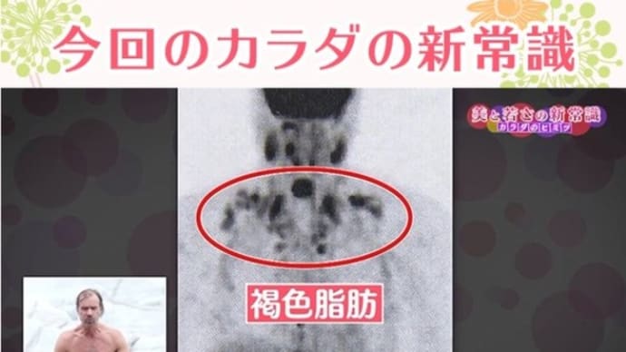 NHKBS番組 美と若さの新常識「体質改善ダイエット!・・・」を見て
