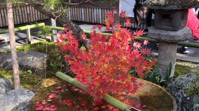 その後の圓光寺、赤山禅院