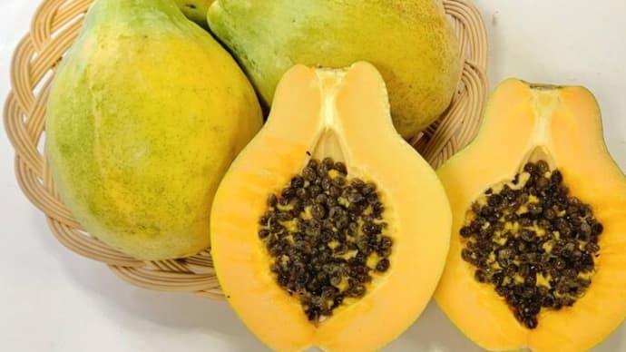 パパイアで手作り化粧水、お肌ツルツル
