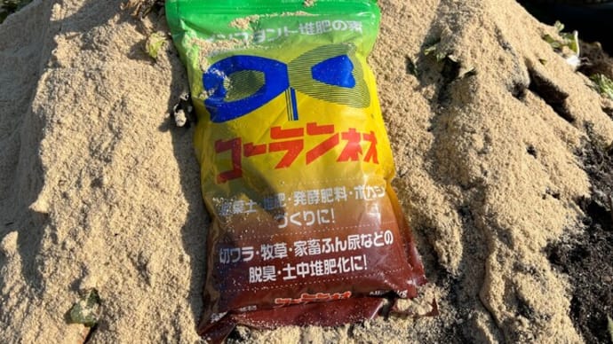 糠を土中すき込みしました。