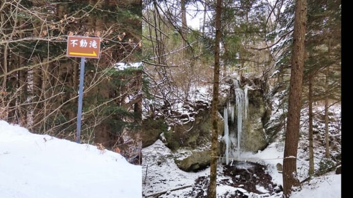 氷瀑(不動の滝 三滝 ) 氷瀑を登る猫