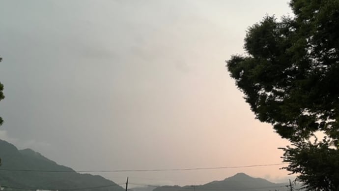 暑中お見舞いを出すか迷う…