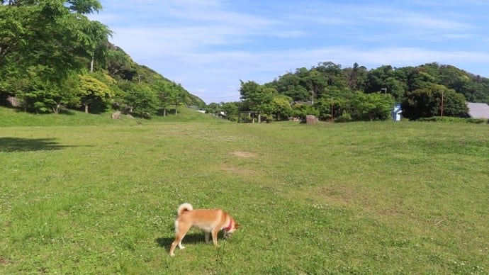 あまり行ったことがない野比方面を散策