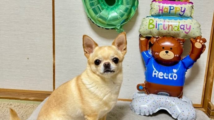 ワンコの誕生日🎂でした