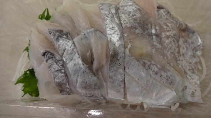千葉「太刀魚」「天然鯛」根室「銀宝」「スペシャル本まぐろ」「本まぐろ中落ち」!!刺身と手作り干物の専門店「発寒かねしげ鮮魚店」。