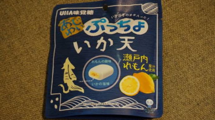 イカだけに如何物?~ぷっちょいか天