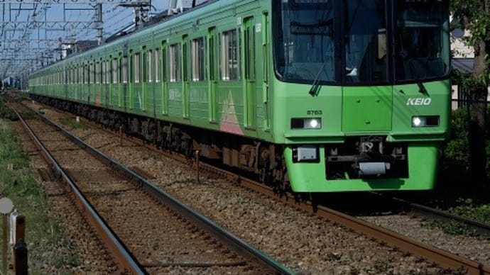 21世紀に蘇った京王グリーン車・8000系8713F「高尾山トレイン」