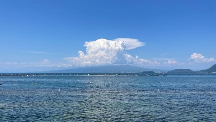 週末ダイビング 8月1日 平沢