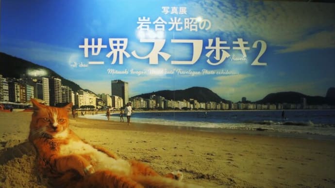 ぶら散歩~横浜馬車道界隈