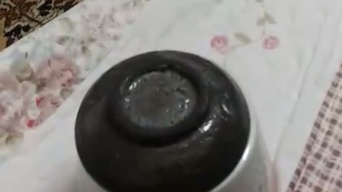 いつもは食べたがらないのに
