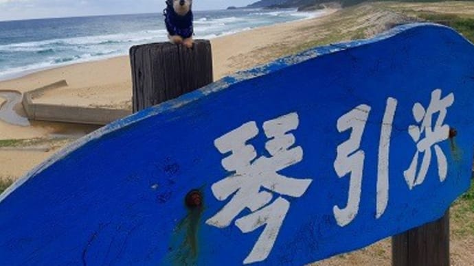 明日15日 明後日16日は連休します