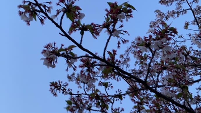 2025年4月14日gooから引越し先をかんがえる