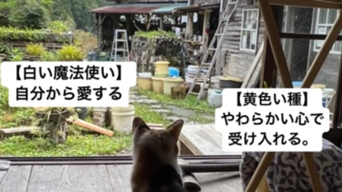 〜マヤ暦K155 青い鷲・黄色い種・音12〜 予期せぬ出来事,不思議な出会い