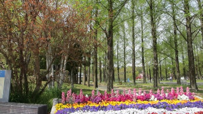 花いっぱいの公園