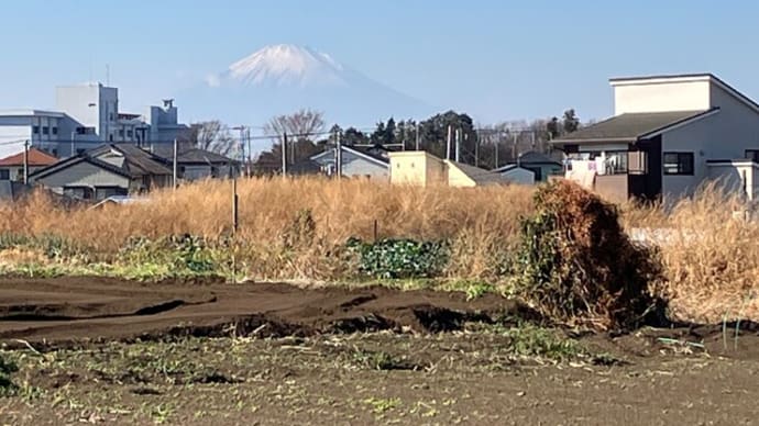 2025年度の「政策制度要求事項」について&今日の富士山
