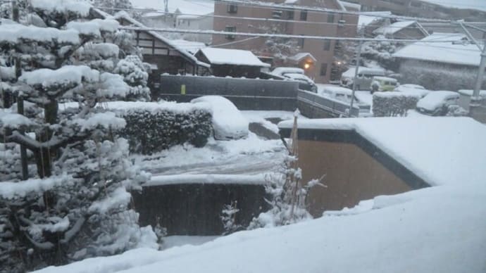 ★冬将軍が来た さっそく「エンヤコラ」と雪すかし