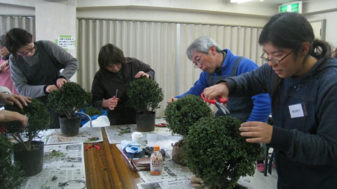 試しに一度、トピアリー作り