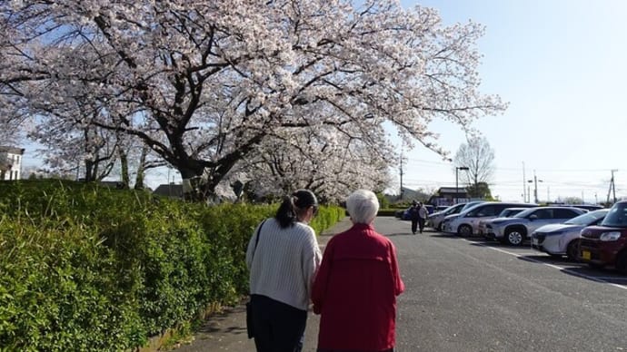 お花見2025