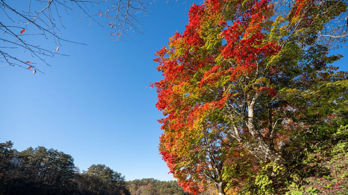五色沼自然探勝路【番外編】天気予報と紅葉情報を見て急遽、福島県裏磐梯を目指す!