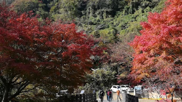 一目八景(中津市)