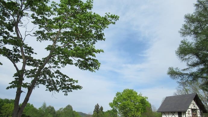 「空気の神社」へ参拝