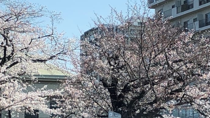 自分の持つ素材