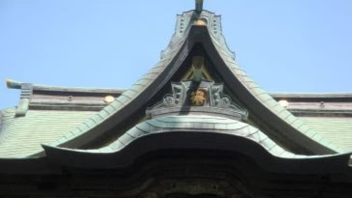 白幡神社と鯉のぼり♪、(2025春)。