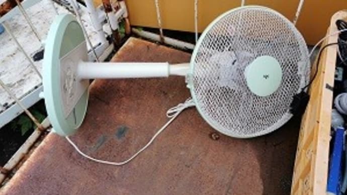 コトーやドクターXでは無いのだから