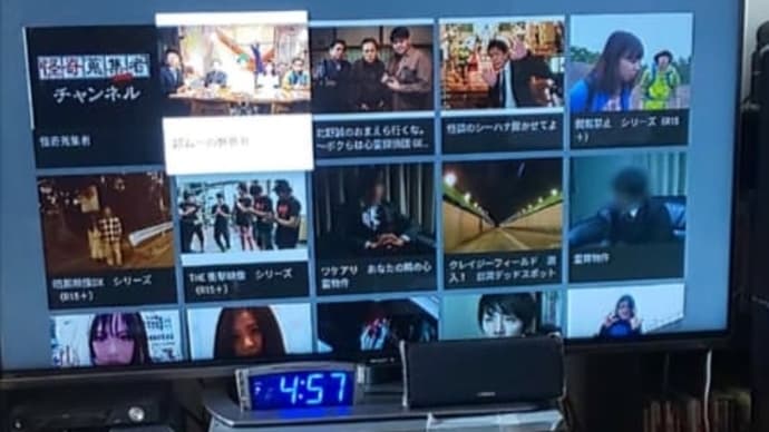 DAY155:これから夏に向けて最適な発見