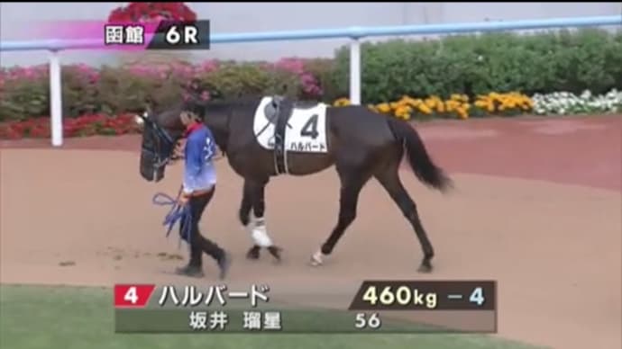 【スリーアウト】ハルバード やや変わり身は見せたが