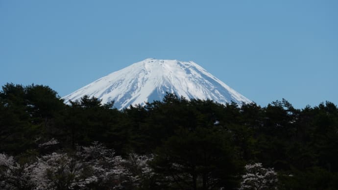 本栖湖河畔→展望台