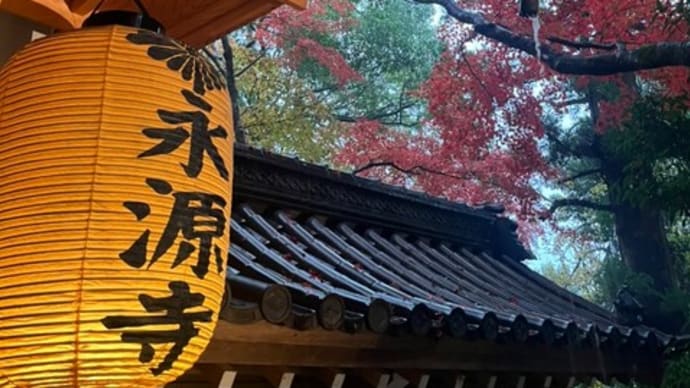 雨の中の紅葉ツアー「永源寺」