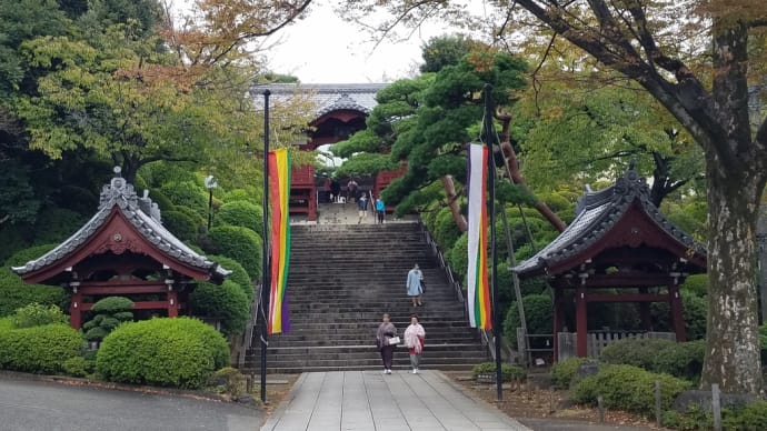 妹の病気平癒を全力で祈願@護国寺
