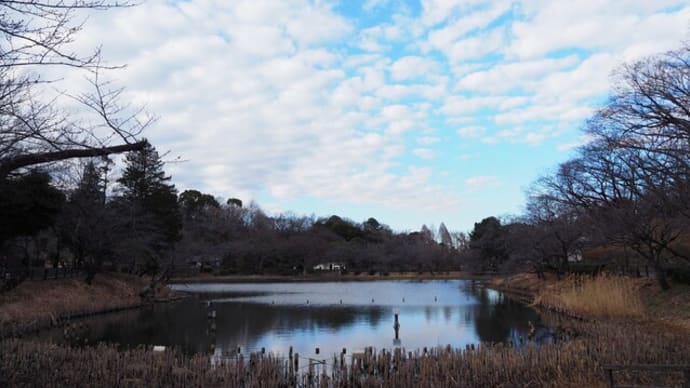 早春の三ッ池公園