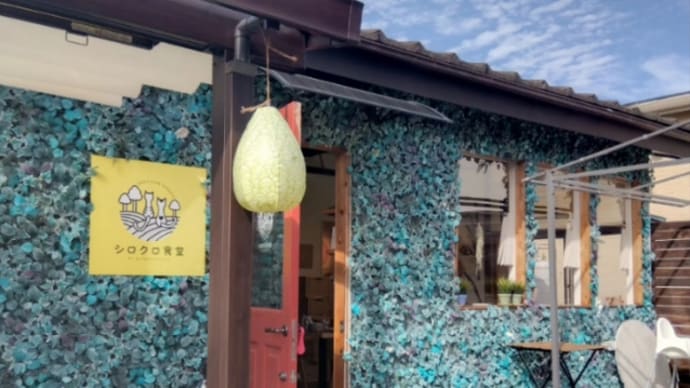シロクロ食堂