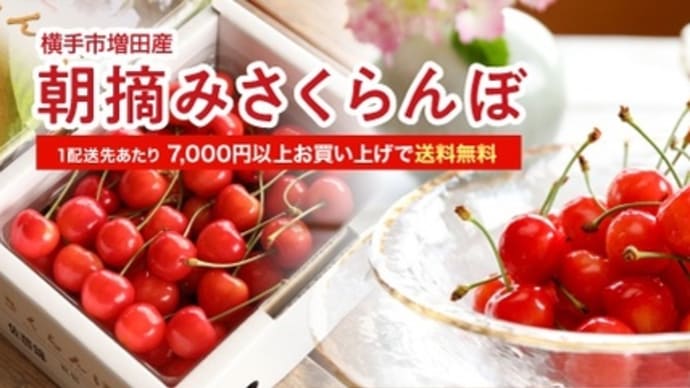 紅い宝石さくらんぼ、予約受付開始