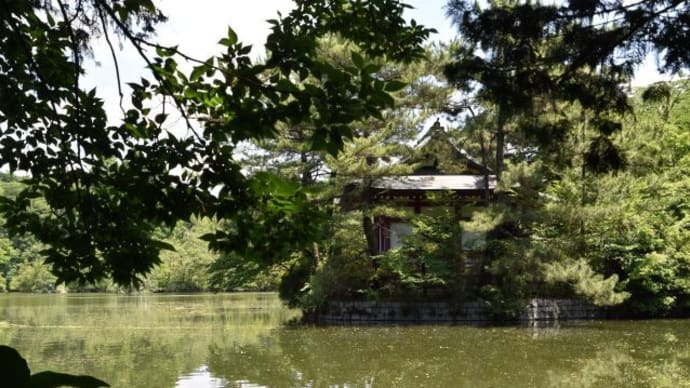 石神井公園　　三宝寺池厳島神社の水上休憩所　　　9