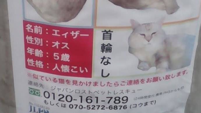 懸賞金