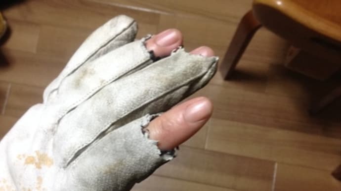 野生動物に注意だ
