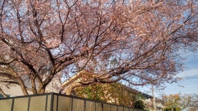 目がよく見える。