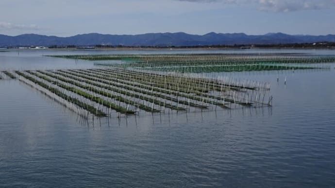 浜名湖一周サイクリング　約６０Km完走で～す