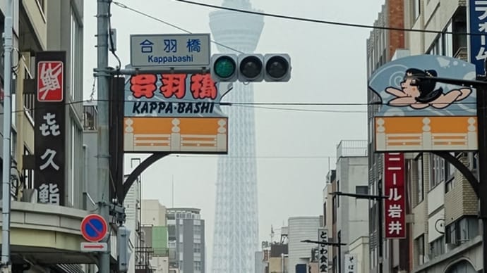 招き猫を求めて…😁