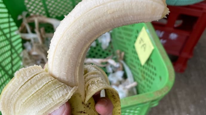 仕事合間にバナナいただきます😃