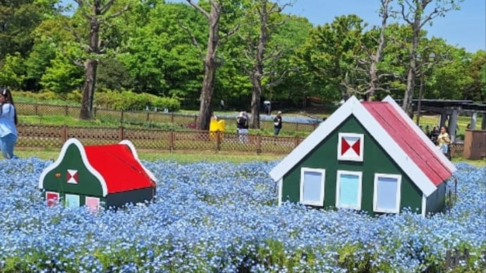 笑顔の花びら集まる日に向けて②
