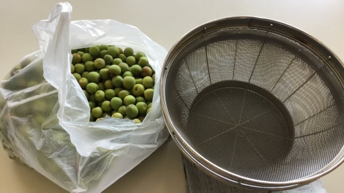 夏バテ対策の準備